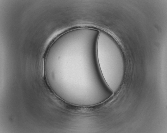 X0000113591175200909181042