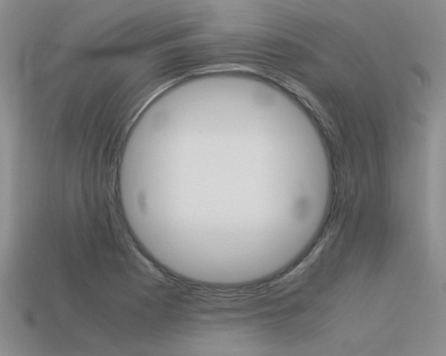 X0000113591177200909181042