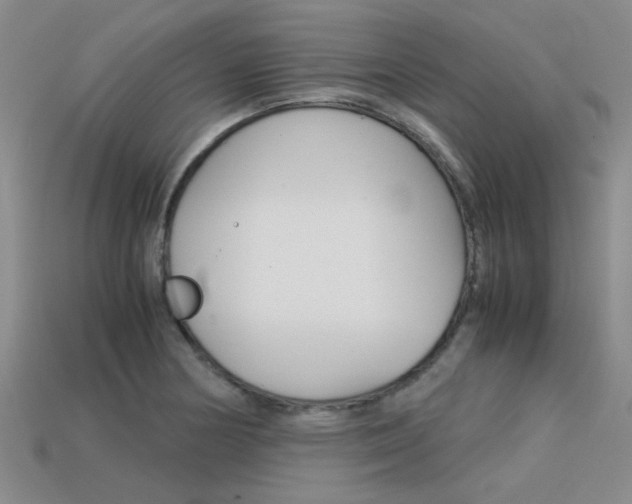 X0000113591178200909181042