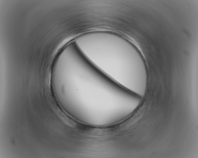 X0000113591179200909181042