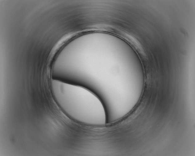 X0000113591180200909181042