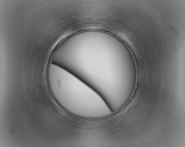 X0000113591181200909181042