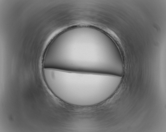 X0000113591183200909181042