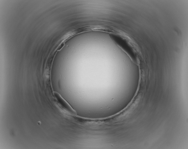 X0000113591185200909181042