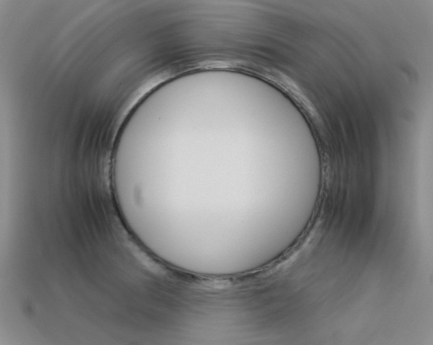 X0000113591186200909181042