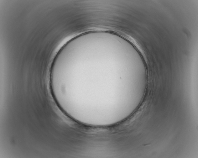 X0000113591187200909181042