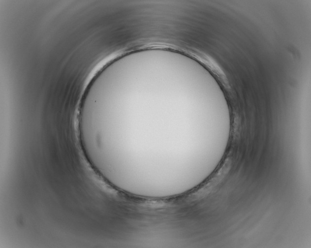 X0000113591190200909181042