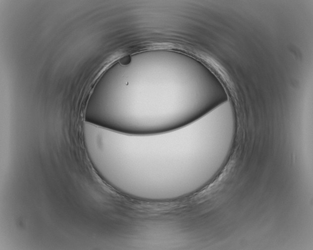 X0000113591193200909181042
