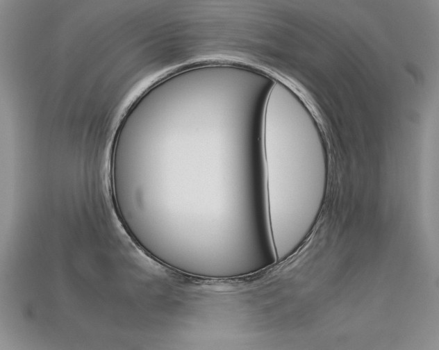 X0000113591199200909181041