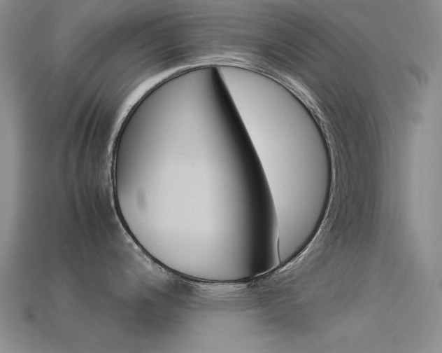 X0000113591200200909181041