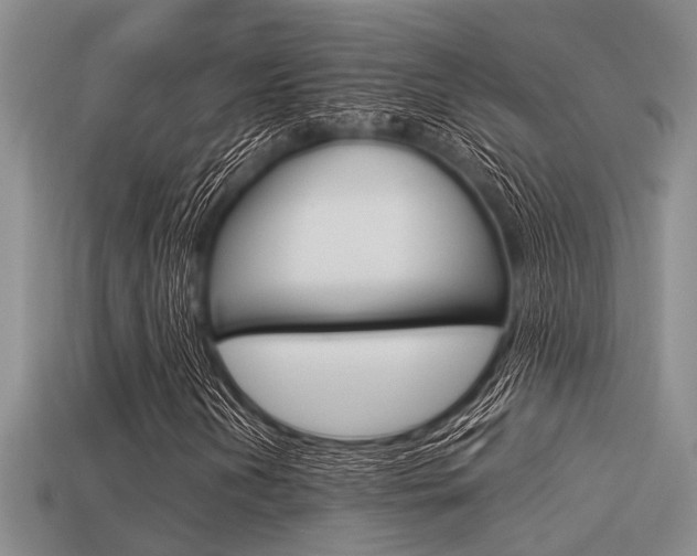 X0000113591202200909181041