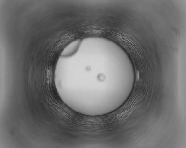 X0000113591203200909181041