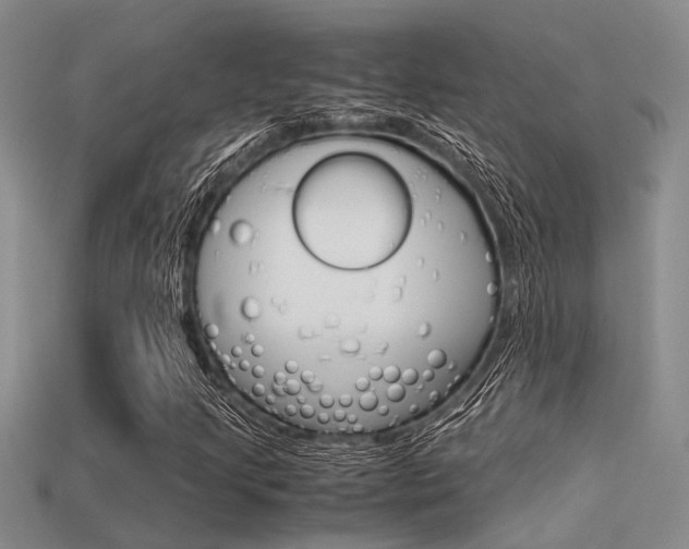 X0000113591205200909181041