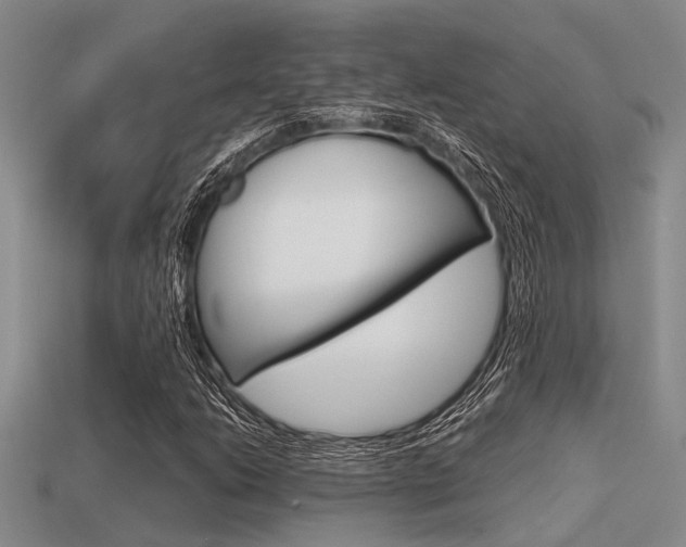 X0000113591206200909181041