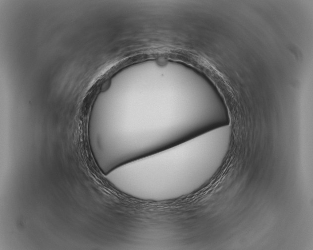 X0000113591208200909181041