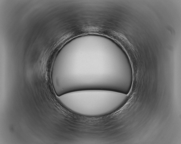 X0000113591209200909181041