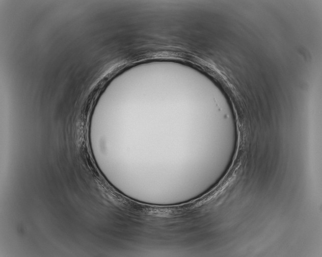 X0000113591211200909181041
