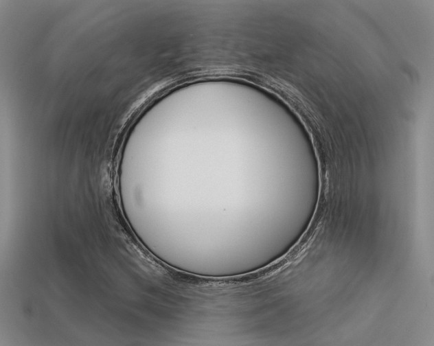 X0000113591212200909181041
