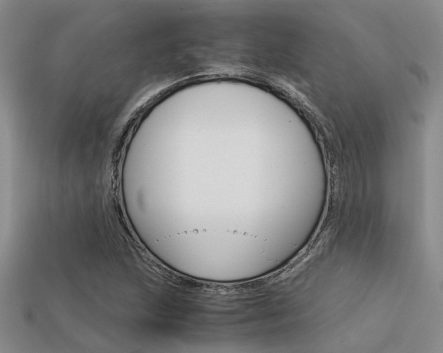 X0000113591215200909181041