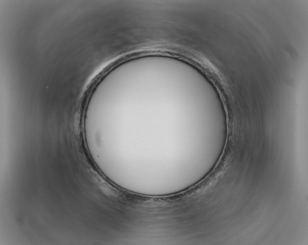 X0000113591216200909181041