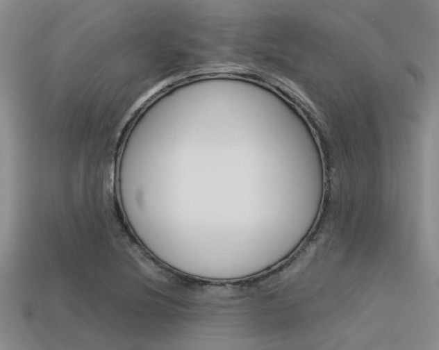 X0000113591220200909181041