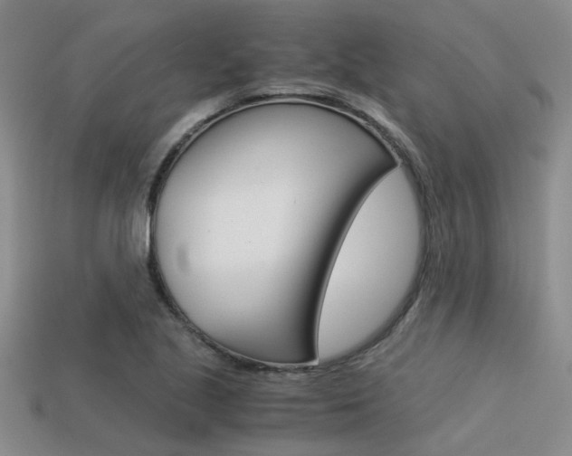 X0000113591221200909181041