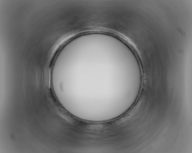 X0000113591223200909181041