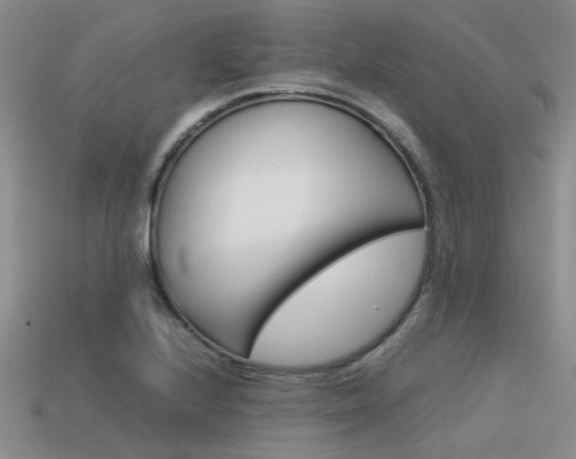 X0000113591224200909181041