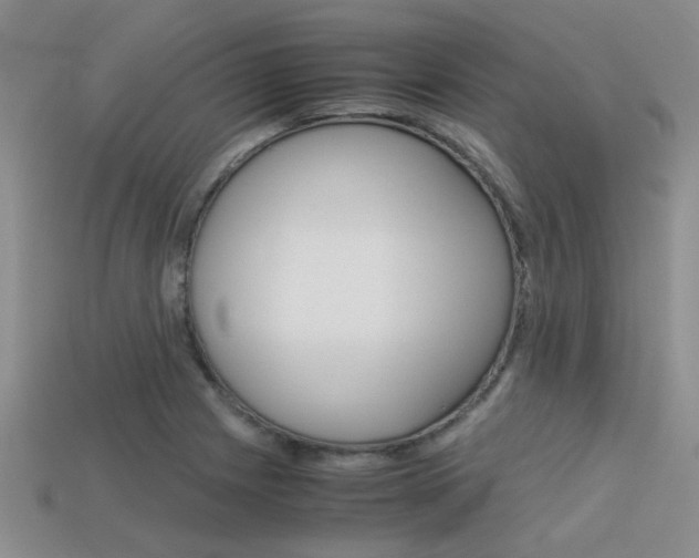 X0000113591225200909181041