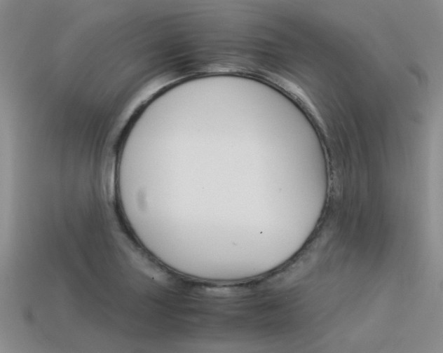X0000113591227200909181041