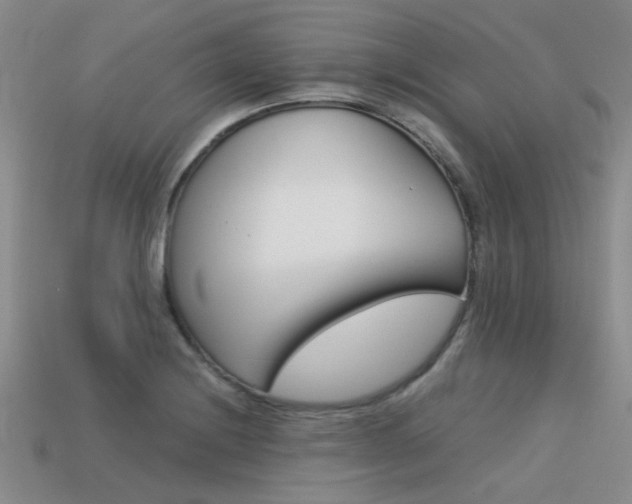 X0000113591228200909181041