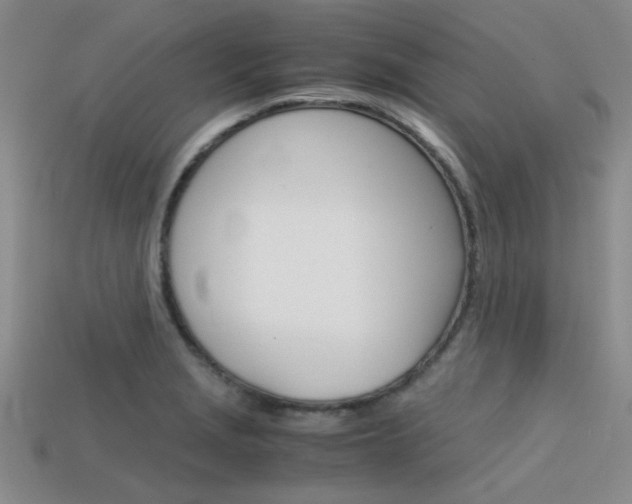 X0000113591229200909181041