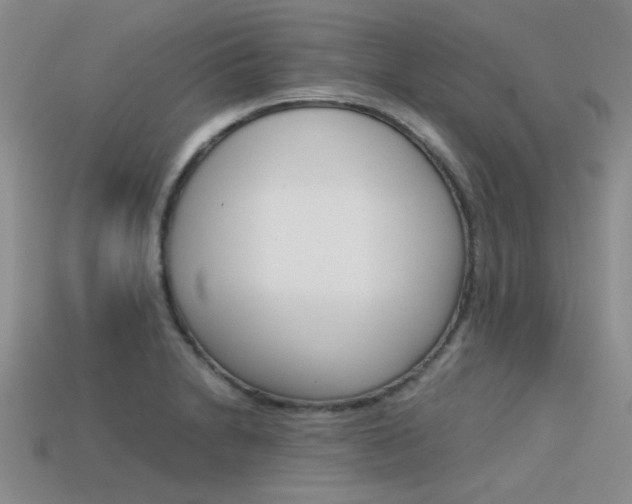 X0000113591230200909181041