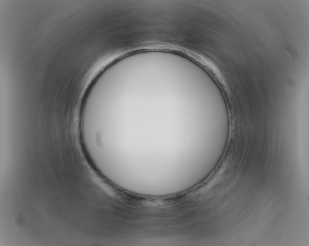 X0000113591231200909181041
