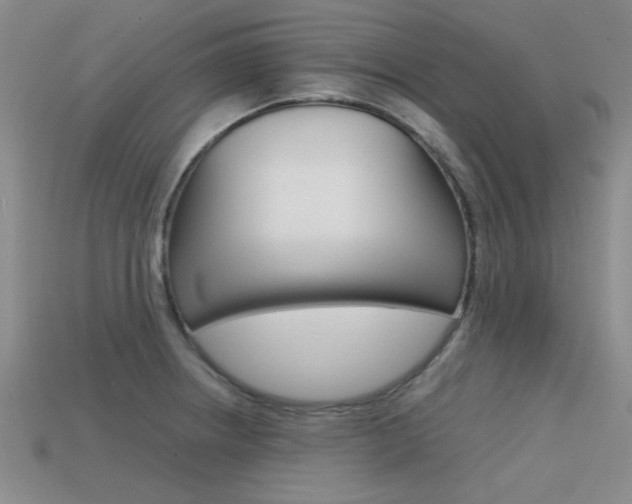 X0000113591234200909181041