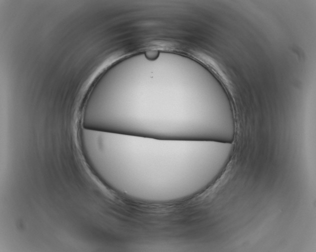 X0000113591235200909181041