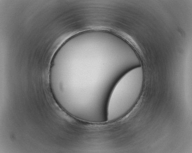 X0000113591236200909181041