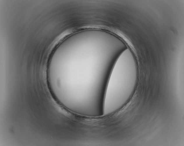 X0000113591237200909181041