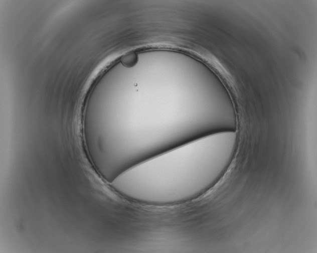 X0000113591240200909181041