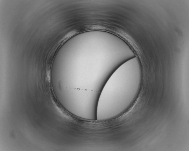 X0000113591241200909181041