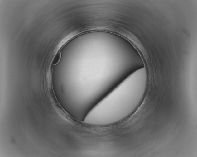X0000113591242200909181041