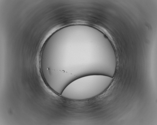 X0000113591243200909181041