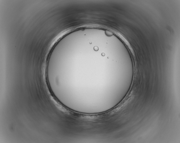 X0000113591245200909181041