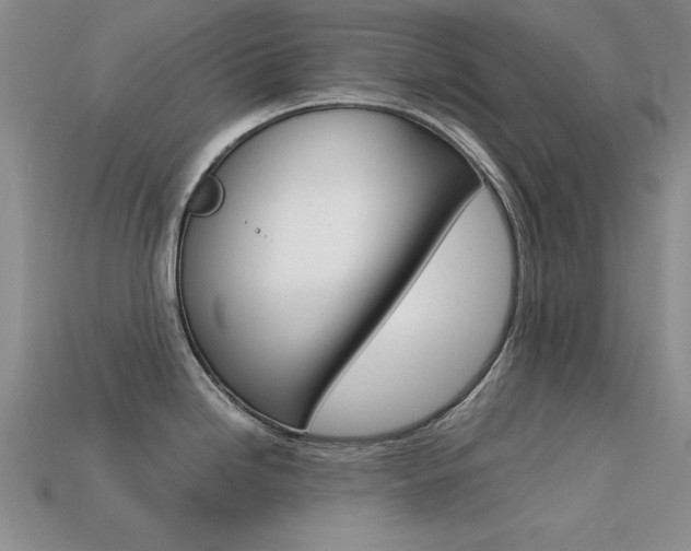 X0000113591246200909181041