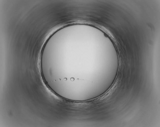 X0000113591247200909181041