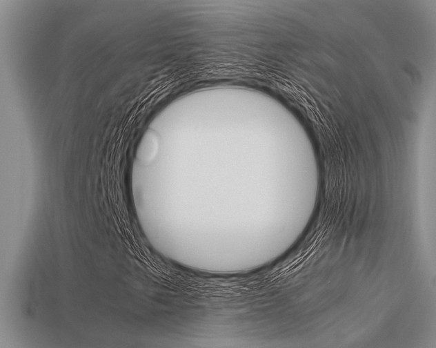 X0000113591249200909181041