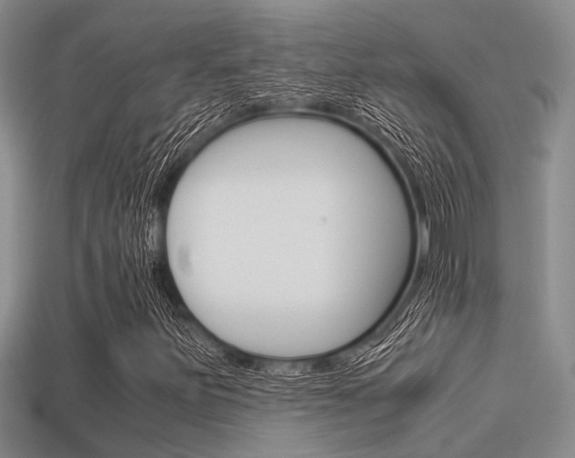 X0000113591251200909181041