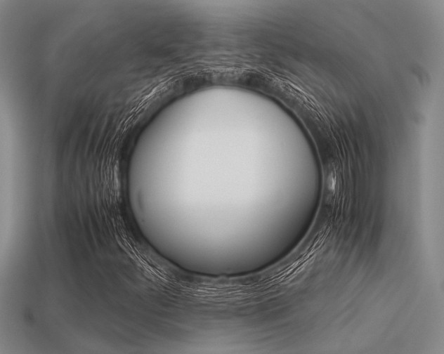 X0000113591252200909181041