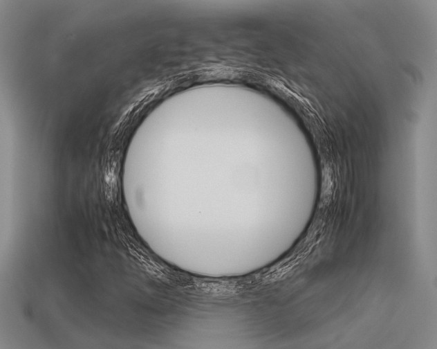 X0000113591254200909181041