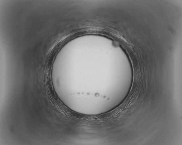 X0000113591255200909181041